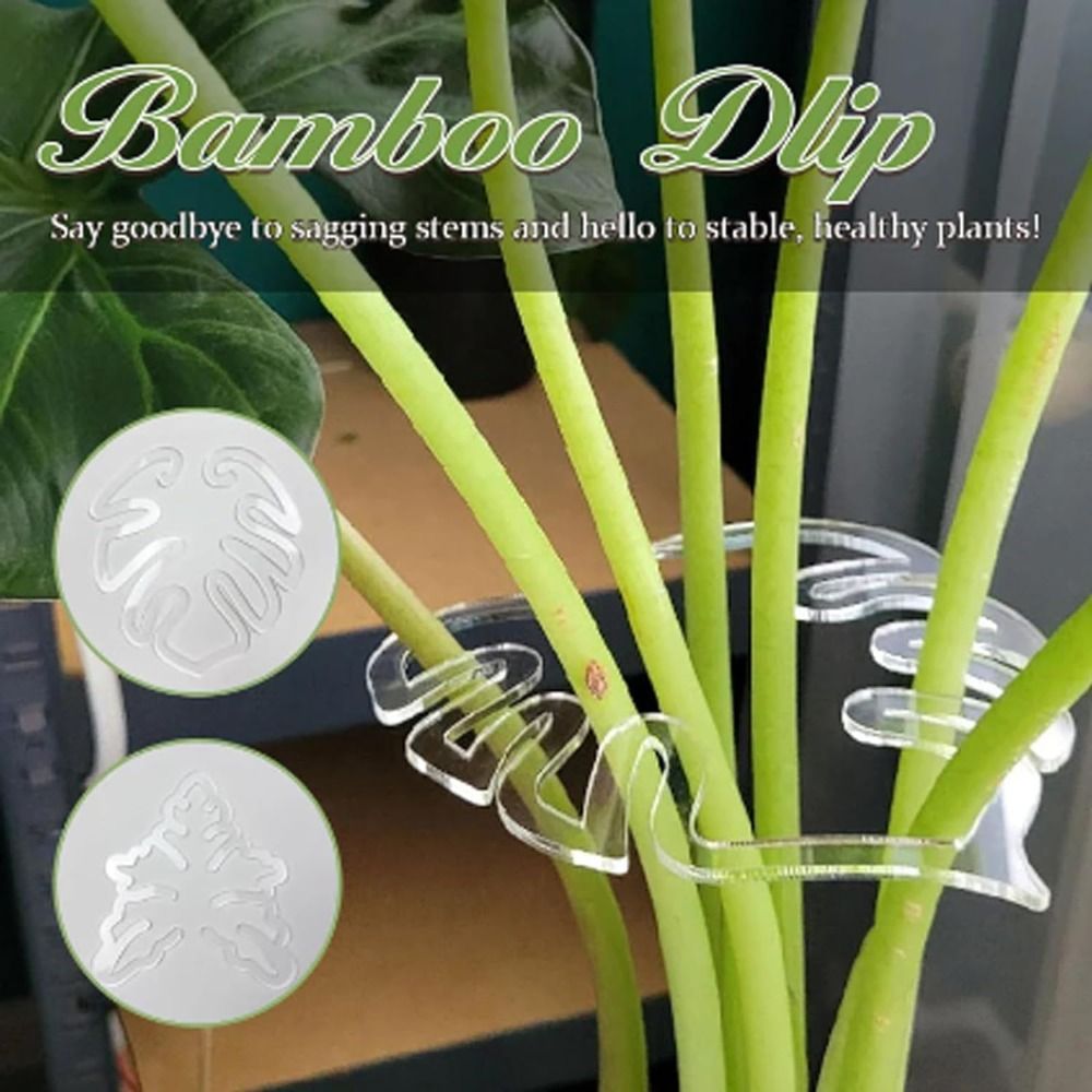Smart Garden Storage - 1/2PCS Herbruikbare Schildpad Shell Bamboe Klem