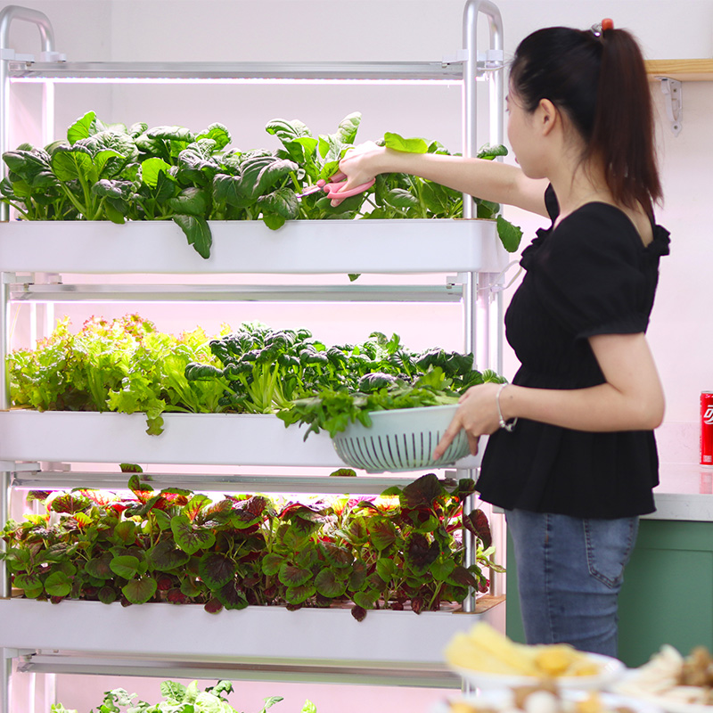 Slim hydrocultuur kweeksysteem - Smart Garden Stackable Planters recensie en prijs