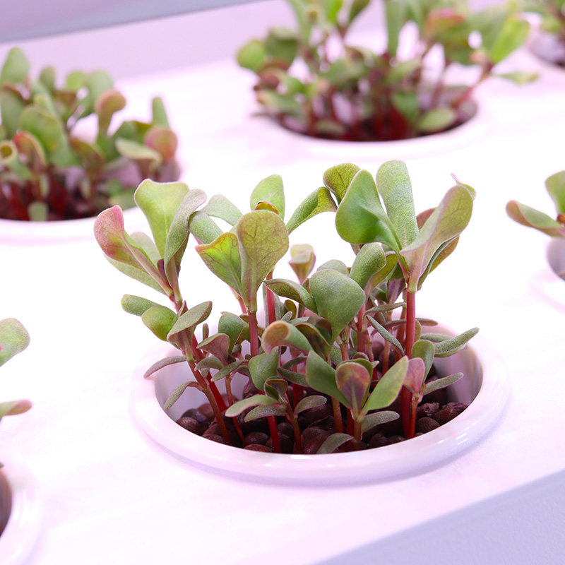 Slim hydrocultuur kweeksysteem - Smart Garden Stackable Planters recensie en prijs