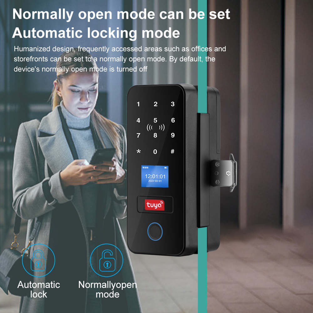 Dubbele haak slim glazen deurs - Smart Garden Gate Lock recensie en prijs