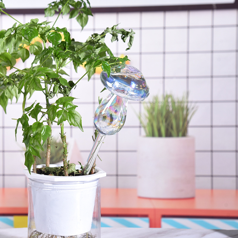 1/2 Stuks Glazen Stro Automati - Smart Garden Technology recensie en prijs