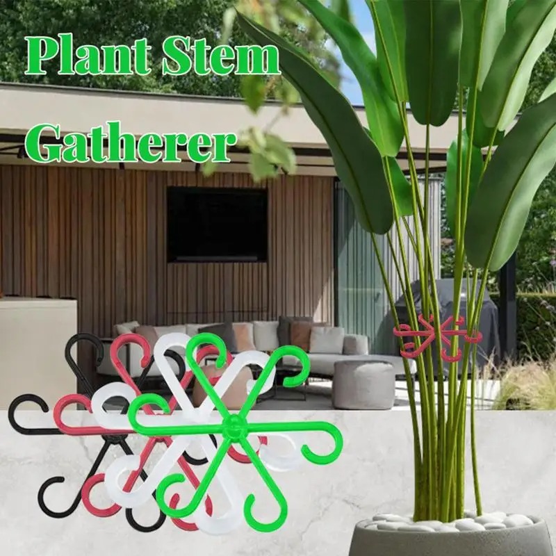 Plantenstamklem Monstera Rankb - Smart Garden Storage recensie en prijs