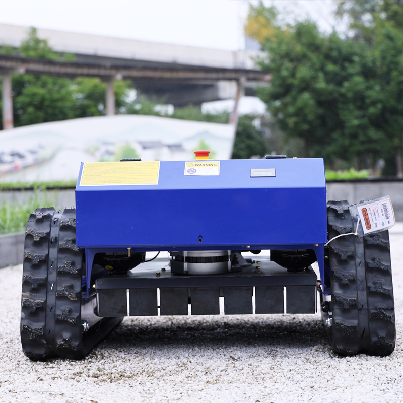 Aangepaste afstandsbediening e - Smart Garden Weed recensie en prijs